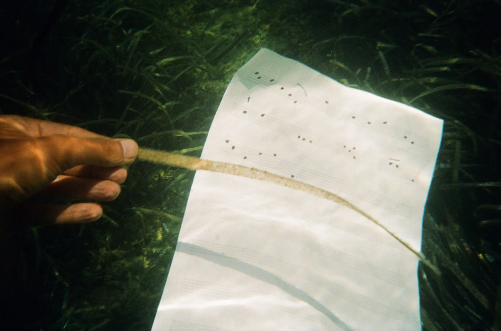 Onderwaterfoto van een papier met muziekpartituur, een hand die een stuk algen vasthoudt, omgeven door groen zeewier