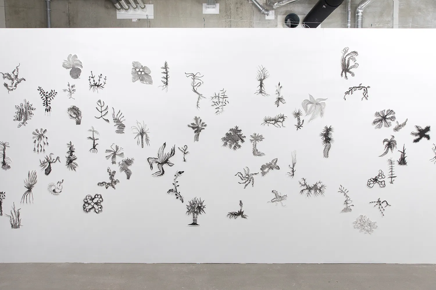 A wall with many black & white paper cut outs of plant-like forms