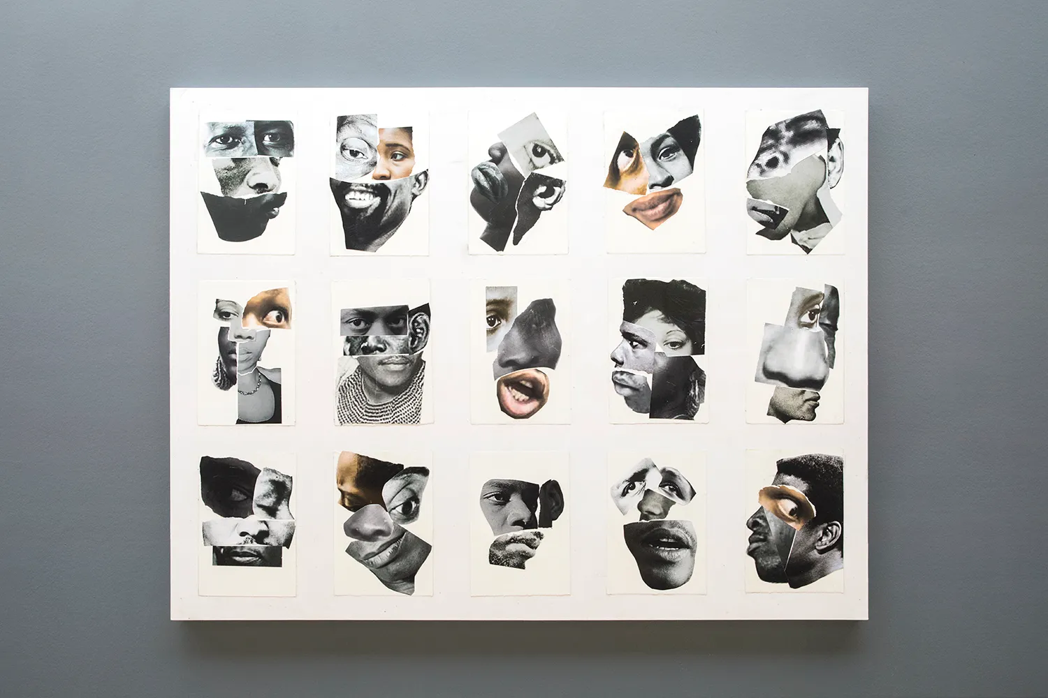 collages van gezichten met verschillende onderdelen (ogen, oren, mond enz.), die in totaal 15 zwart-wit portretten vormen, aangebracht op een doek.